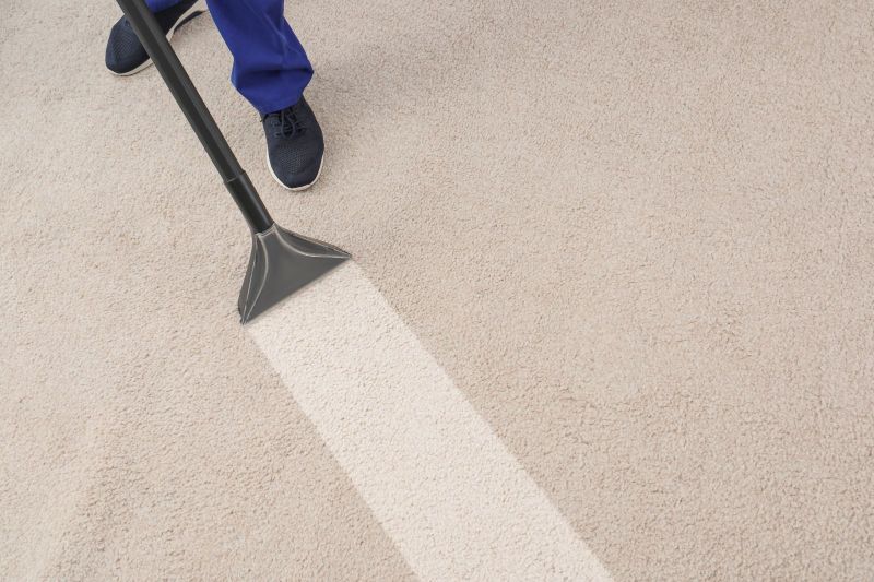 Revive Your Space: Expert Carpet Cleaning Solutions image